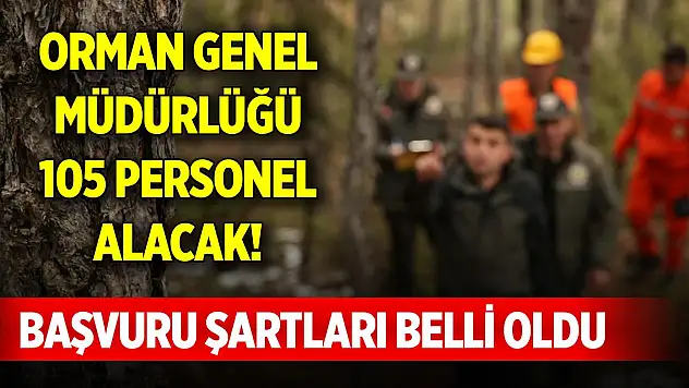 Orman Genel Müdürlüğü 105 personel alacak! Başvuru şartları belli oldu