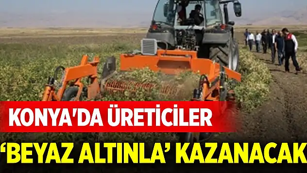 Konya'da üreticiler 'beyaz altınla' kazanacak