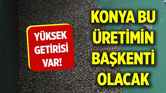 Yüksek getirisi var! Konya bu üretimin başkenti olacak