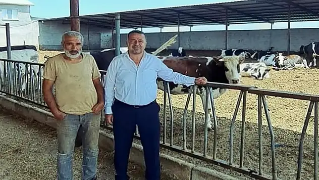 Konya'daki belediye hayvan gübrelerini toplatıyor!