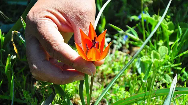 Koparmanın cezası 557 bin TL!