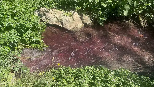 Turşu sulu renkli dereye çiftçiler tepkili