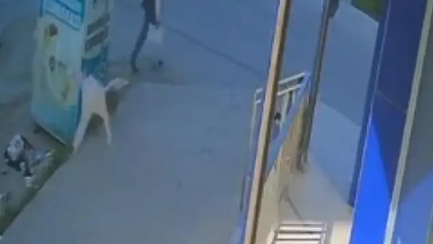 Beşinci kattan düşen bebek öldü