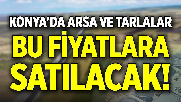 Konya'da arsa ve tarlalar bu fiyatlara satılacak!