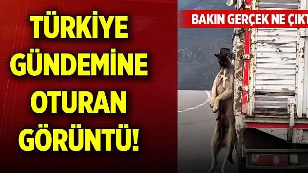 Türkiye gündemine oturan görüntü! Bakın gerçek ne çıktı