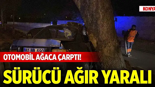 Konya'da merkezde otomobil ağaca çarptı! Sürücü ağır yaralı, kimliği belli oldu