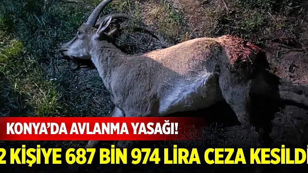 Konya'da avlanma yasağı! 2 kişiye 687 bin 974 lira ceza kesildi