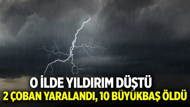 O ilde yıldırım düştü 2 çoban yaralandı, 10 büyükbaş öldü