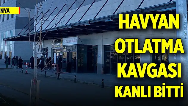Konya'da havyan otlatma kavgası kanlı bitti