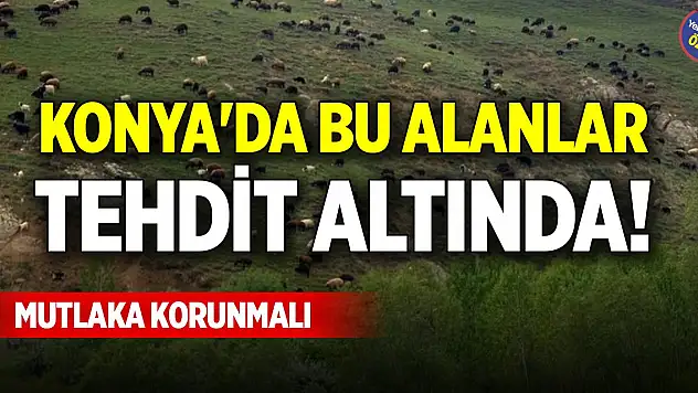 Konya'da bu alanlar tehdit altında! Mutlaka korunmalı