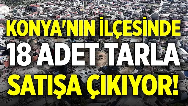 Konya'nın ilçesinde 18 adet tarla satışa çıkıyor!