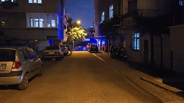 Hafif ticari aracın üzerinden geçtiği 4 yaşındaki çocuk hayatını kaybetti