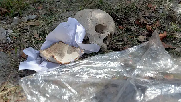 Çöpte bulunan kafatasının sırrı çözüldü