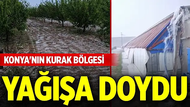 Konya'nın kurak bölgesinde metrekareye 20 kilogram yağış düştü