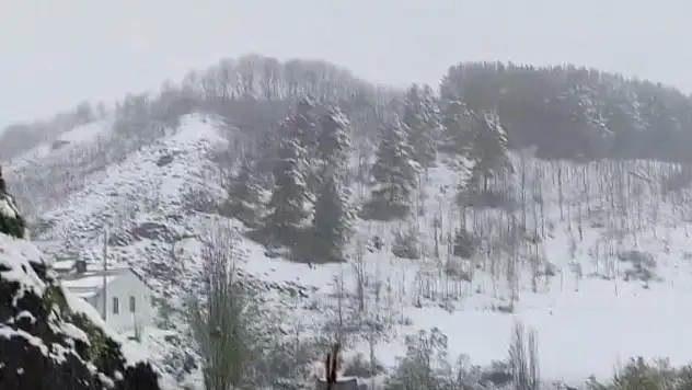 İlkbaharda kış geri döndü: Erzurum'a lapa lapa kar yağdı