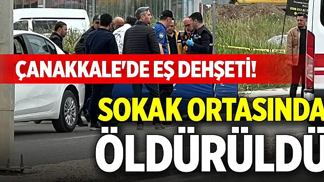 Çanakkale'de eş dehşeti! Sokak ortasında öldürüldü