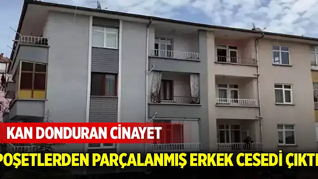 Kan donduran cinayet: Buzdolabındaki poşetlerden parçalanmış erkek cesedi çıktı!