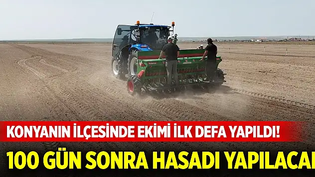 Konyanın ilçesinde ekimi ilk defa yapıldı! 100 gün sonra hasadı yapılacak