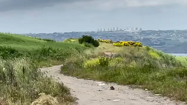 Boş arazide ölü bulundu