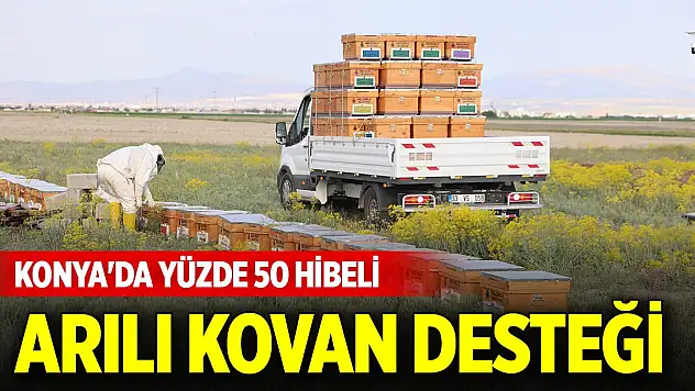 Konya'da yüzde 50 hibeli arılı kovan desteği