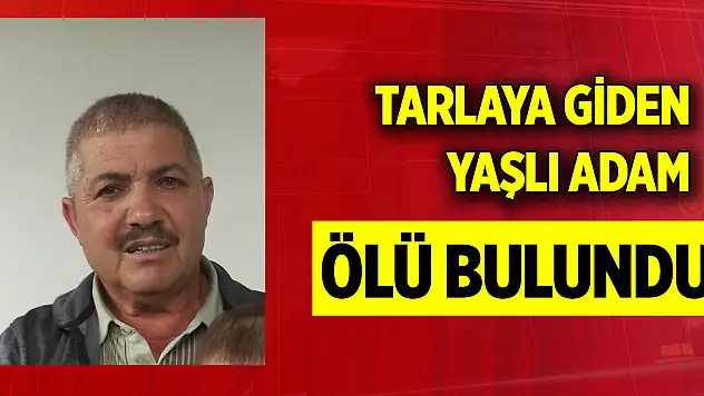 Tarlaya giden yaşlı adam ölü bulundu