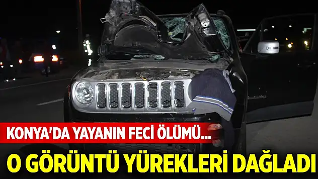 Konya'da yayanın feci ölümü... O görüntü yürekleri dağladı