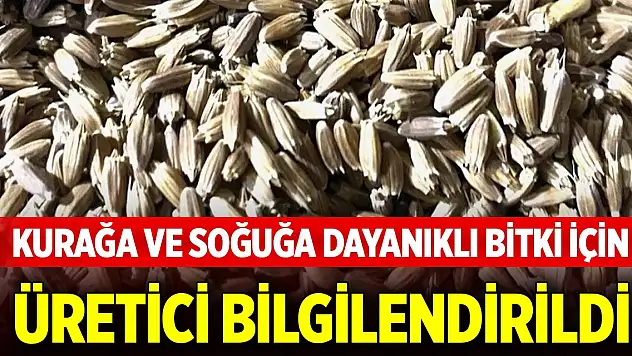Konya'da kurağa ve soğuğa dayanıklı bitki için üretici bilgilendirildi