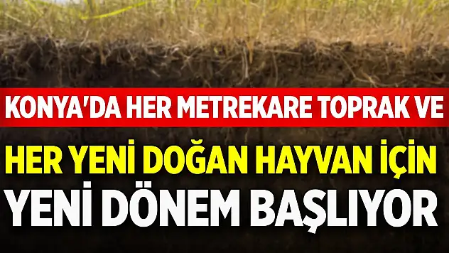 Konya'da her metrekare toprak ve her yeni doğan hayvan için yeni dönem başlıyor