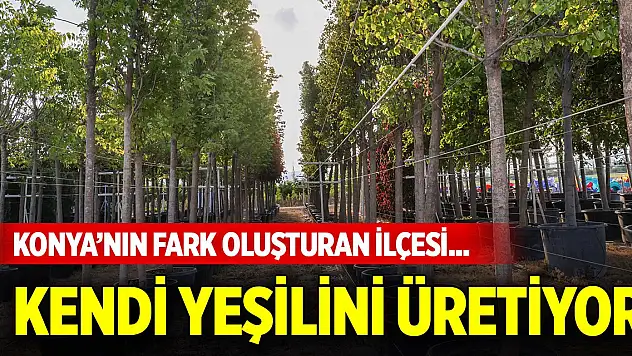 Konya'nın fark oluşturan ilçesi... Kendi yeşilini üretiyor