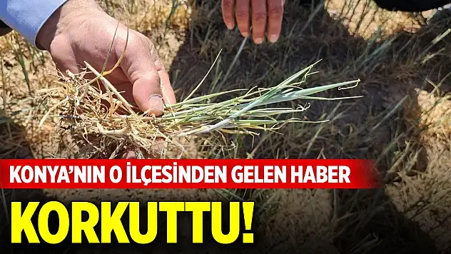 Konya'nın o ilçesinden gelen haber korkuttu