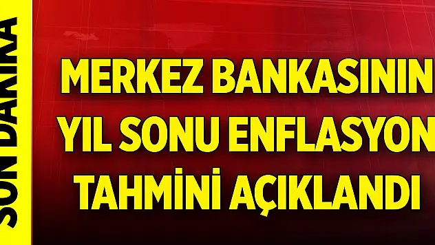 Son Dakika! İşte Merkez Bankasının yıl sonu enflasyon tahmini