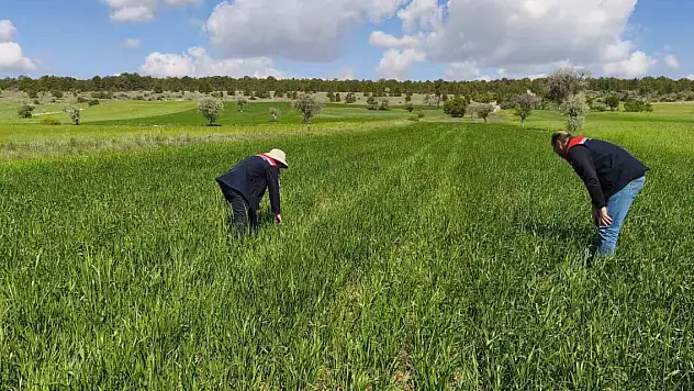 Tarıma yerinde destek... Beyşehir'de ekipler üreticinin yanında