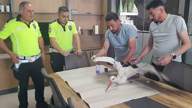 Konya'daki yaralı leyleğe polisten şefkat eli