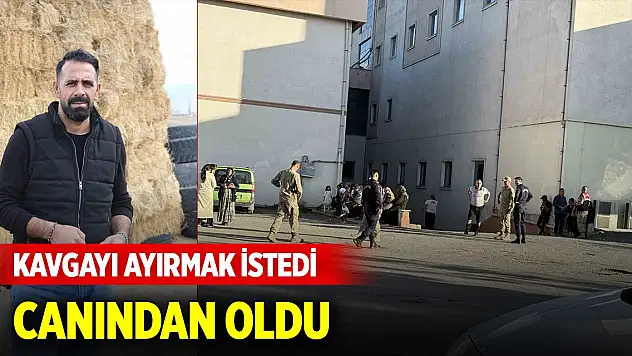 Akrabalar arasında çıkan kavgayı ayırmaya çalışırken canından oldu
