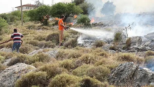 İzmir'in iki ilçesindeki yangın kontrol altına alındı