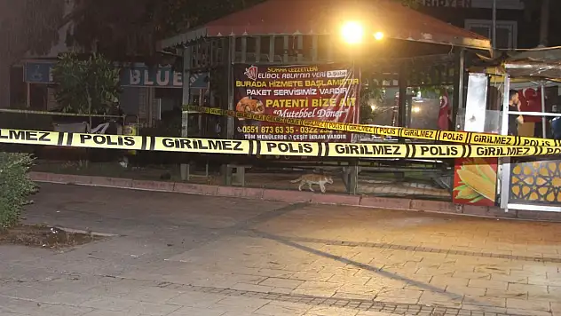 Emekli polis, eski eşini öldürüp, kendini de vurdu