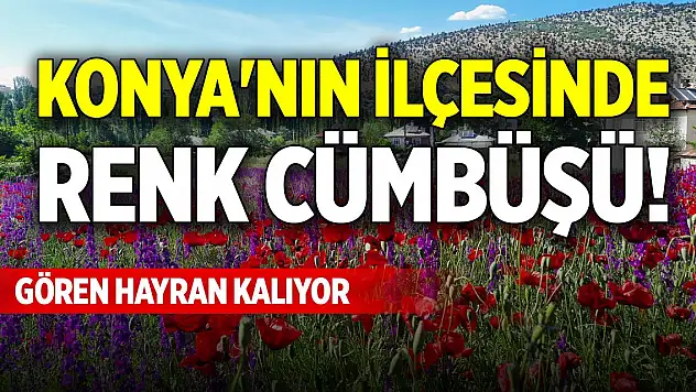 Konya'nın ilçesinde renk cümbüşü! Gören hayran kalıyor