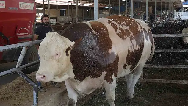 Servet değerindeki fiyatıyla alıcısını bekliyor