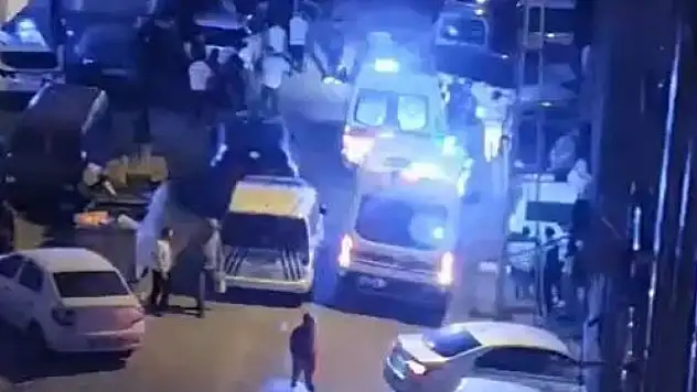 Köpek kavgasında ortalık savaş alanına döndü