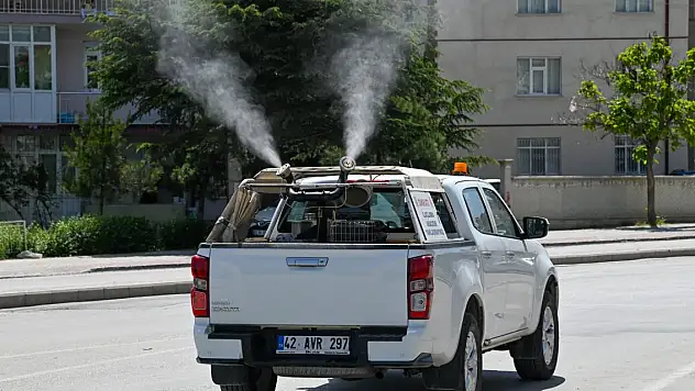 Konya'da haşerelere karşı mücadele!