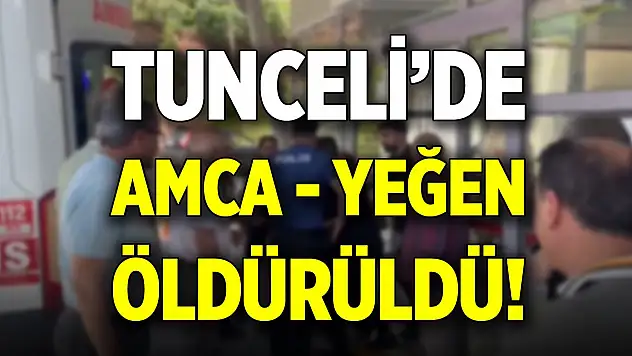 Tunceli'de amca- yeğen öldürüldü!