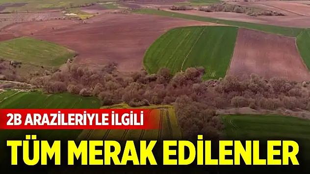 2B arazilerinde mülkiyet hakları ve tapu süreciyle ilgili tüm merak edilenler