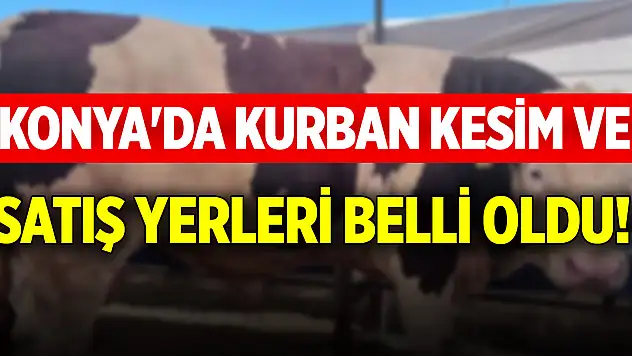 Konya'da kurban kesim ve satış yerleri belli oldu!