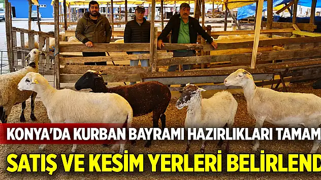 Konya'da Kurban Bayramı Hazırlıkları Tamam: Satış ve Kesim Yerleri Belirlendi