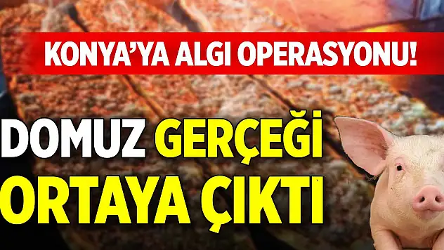 Konya'ya algı operasyonu! Domuz gerçeği ortaya çıktı