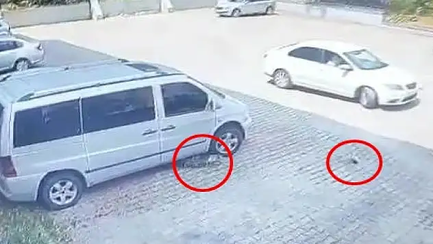 Otomobilin altında kalan yavru kedi öldü, annesi başından ayrılmadı