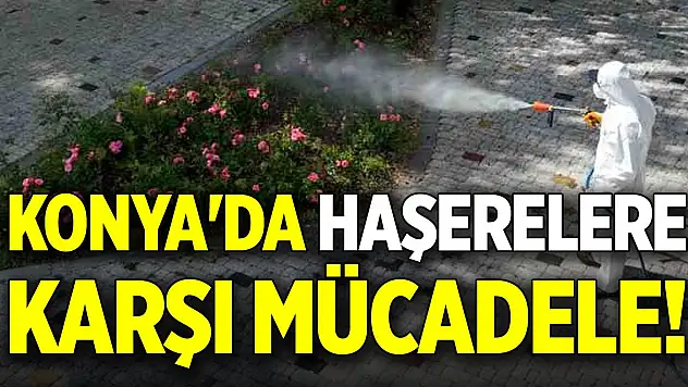Konya'da haşerelere karşı mücadele