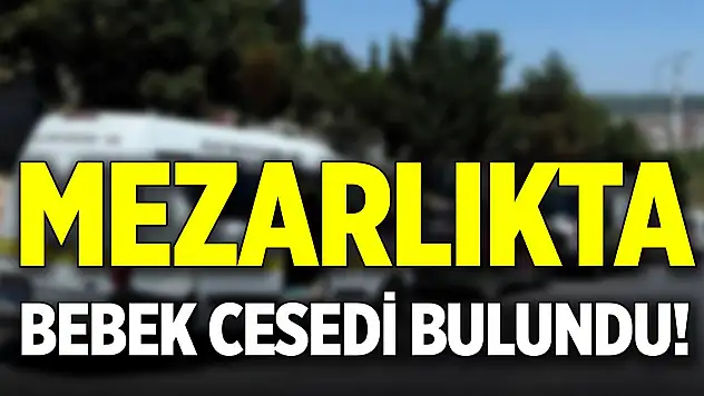 Mezarlıkta bebek cesedi bulundu!