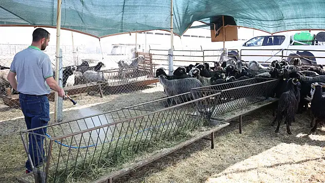 Konya'nın merkez ilçesinde tüm hazırlıklar tamam! Kurban kesim yerleri belli oldu