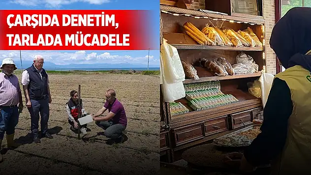 Beyşehir'de çarşıda denetim, tarlada mücadele